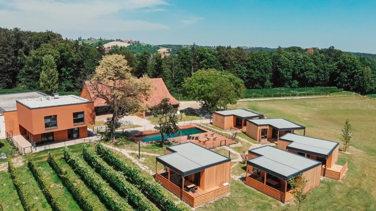 Wine Paradise Glavinic Miklavz pri Ormozu Luaran gambar